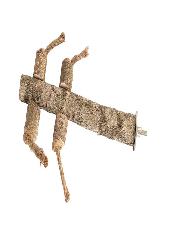 مجثم طيور عضوي من SS Organic®، مجثم خشبي طبيعي للببغاء، لعبة حاملة للطيور الصغيرة والمتوسطة الحجم، ملحق قفص الكوكاتيل والباراكيت والكونيور، حيوانات صغيرة - ملحقات وألعاب ولوازم - Image 1